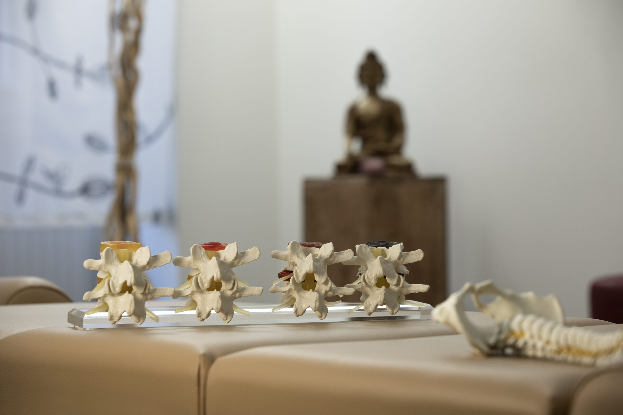 Wirbelsäule, Bandscheibe, Druckentlastung, Chiropraktik